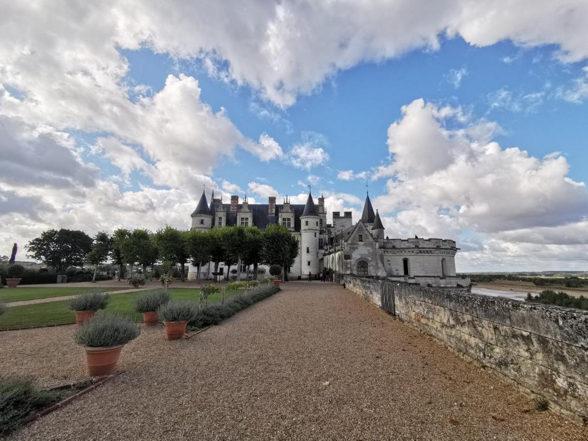 Centre Historique Apartment Amboise